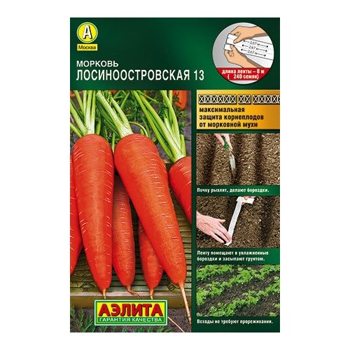 ���� ������� ���������������� 13, ������ ( 1��: 240 ����� �� 8 ������ ����� ) ������ ������