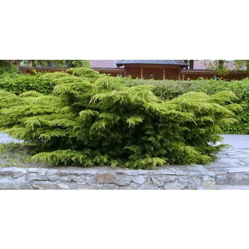 ���� ������������ ������� ����������� ����� ������ ������