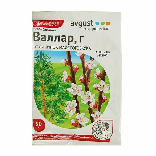 ���� �������� �� ������� �������� ����, ������������ � ����������������� ������ 50 � ������ ������