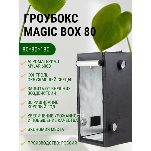   MagicBox 80 (80*80*180 )   -     , -, 