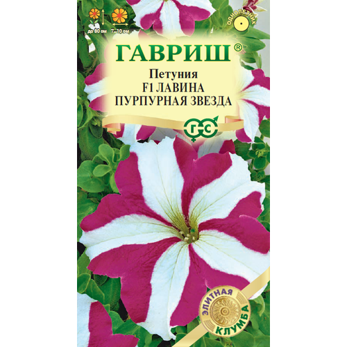 ���� ������ ������� ������ ��������� ������ ��������� 7�� ��� 80�� (������) ������ ������