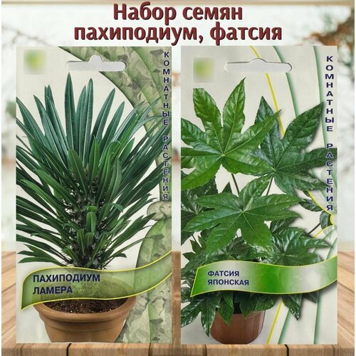 ���� ������ ����������� ��������� �������� ���������� � ������ 2 ��. ������ ������