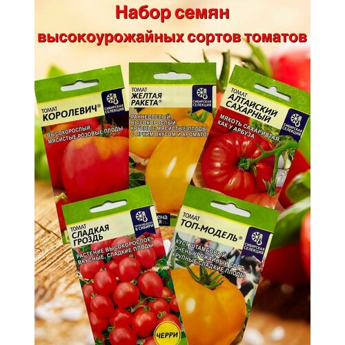 ���� ������ �������, �������� ������� � ������. ����� 5 ��������. ��� ������� � ������ ������ ������