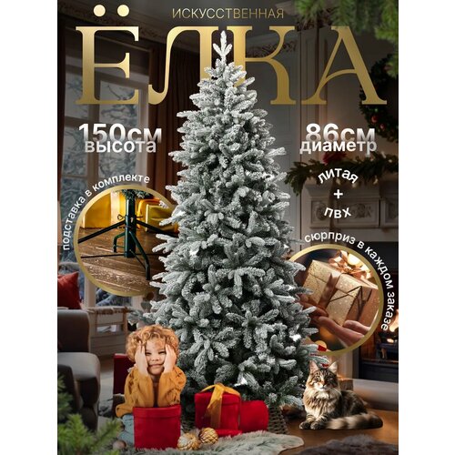 ���� ������������� ���� 150 �� ����������� ������ ������