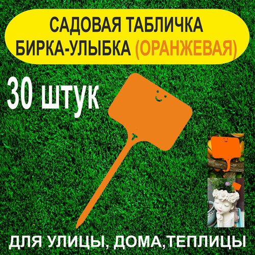 ���� ������� ����� - ������. �������� ��� ��������. 30 ���� (���������) ������ ������