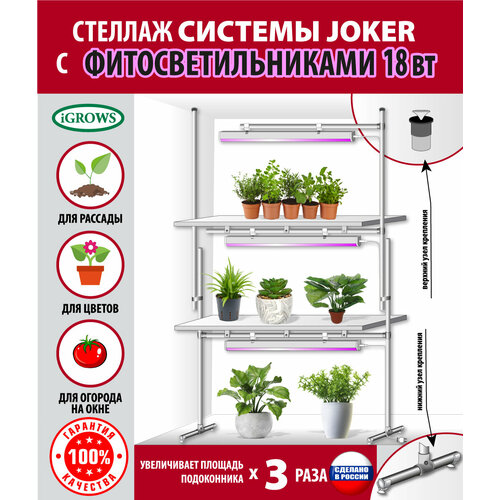 ���� ������� ��� ������� � �������� �������, ��������� , ��������� , � ��������� � ����������������� 3 �� �� 18 �� ��� ���� � ���� ������ ������