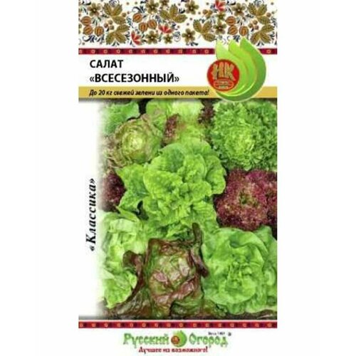 ���� ������ ����� ����� ����������� �������� 1� ����� (������� ������) ������ ������