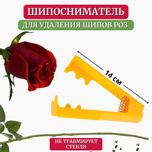 ���� ������ LISTOK ��� �������� ����� ��� ������ ������ ������