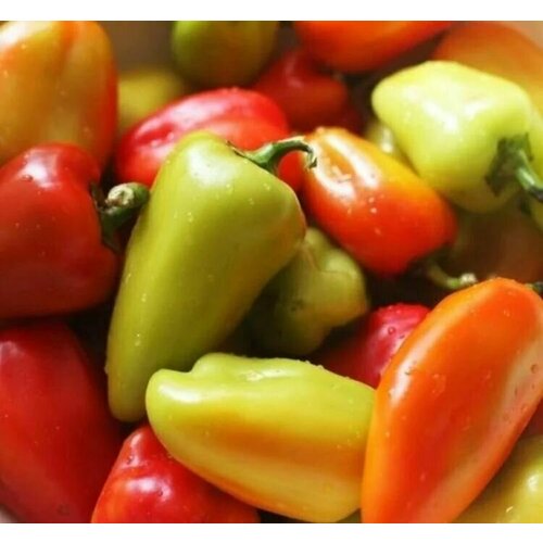 ���� ������������� ������ ����� �������� �������� ������ ������