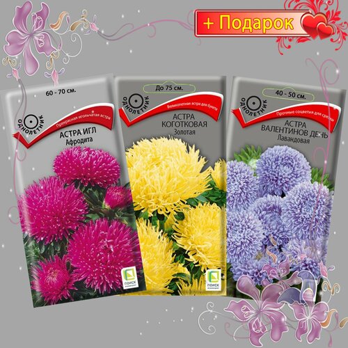 ���� ����� ����� ������ �����, ��� ��������, ���������� �������, ���������� ���� ���������� 3��. ������ ������