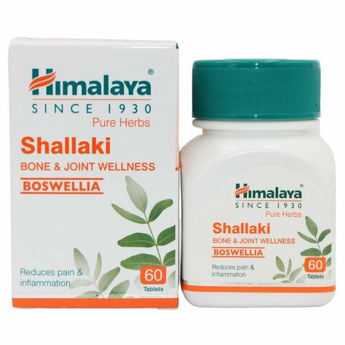   ()  / Shallaki Himalaya, 60    -     , -, 