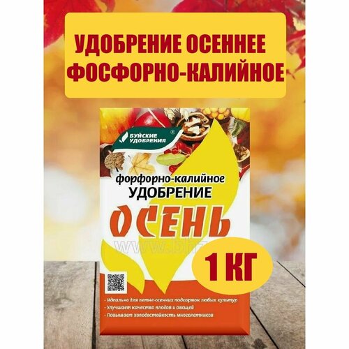 ���� ������� ��������� ��������-�������� 1�� ������ ������