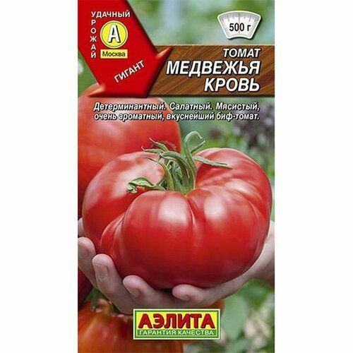 ���� ������ ����� �������� ����� (�����������), �����������, (������) 20�� ������ ������