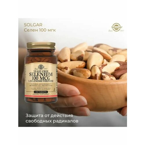 ���� ������, �����, 100 ���, 100 �������� ������ ������