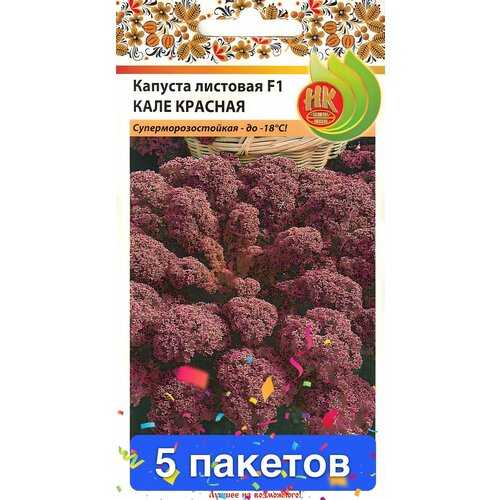 ���� ������ ������ ������� ������ 