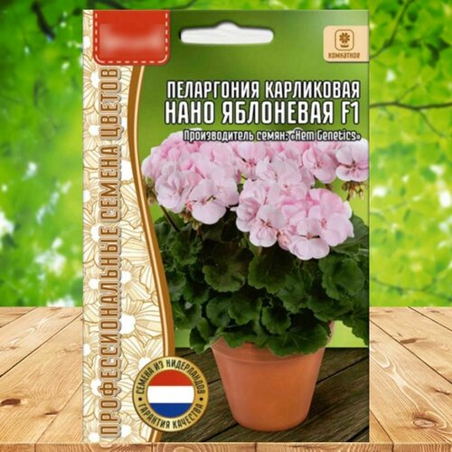 ���� ������ ������ ���������� ���������� ���� ��������� F1 1 ��. ������ ������