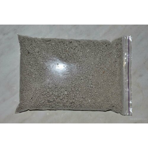 ���� ����������� 