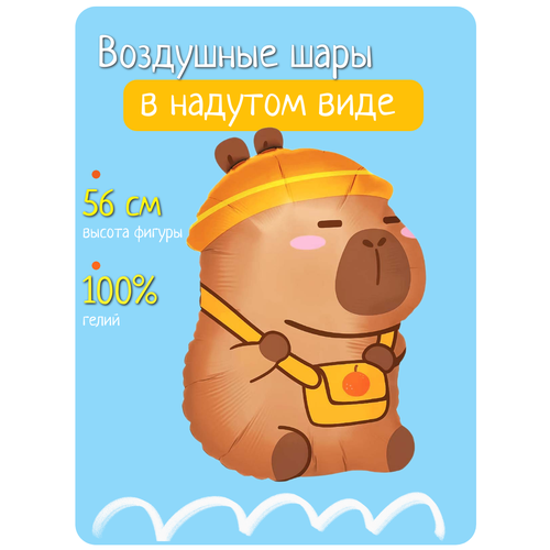 ���� ��������� ��� � ������ �� ���� ��������, �������������� ����� �������� � �������� ������ ������