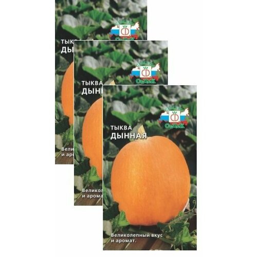 ���� ������ ����� ������ 1,5 � (�����) , 3 �������� * 1,5 � ������ ������