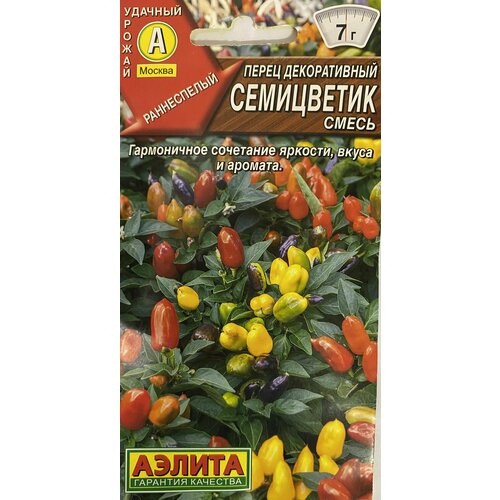 ���� ����� ������������ ������ ���������� (������), 1 �����, ������ 20 ��, ������ ������ ������