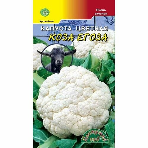 ���� ������ ������� ������� ���� ����� ��. (�������� ���) 0,5� ������ ������