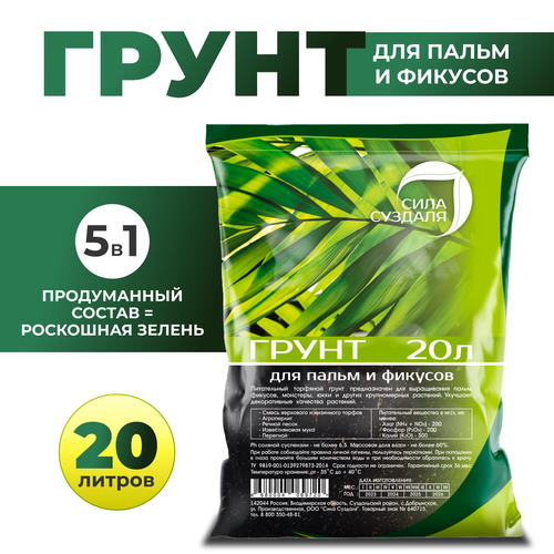 ���� ����� ��� ������ � ������ ���� ������� /����� ��� ��������� ������, 20 � ������ ������