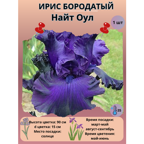 ���� ���� ��������� ���� ���, ����������� ����� ������ ������