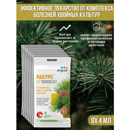 ���� �������� �� �������� ������� ��������, ��������� ��� ������ � �����, ��������� ������ 4 �� 8 �� ������ ������