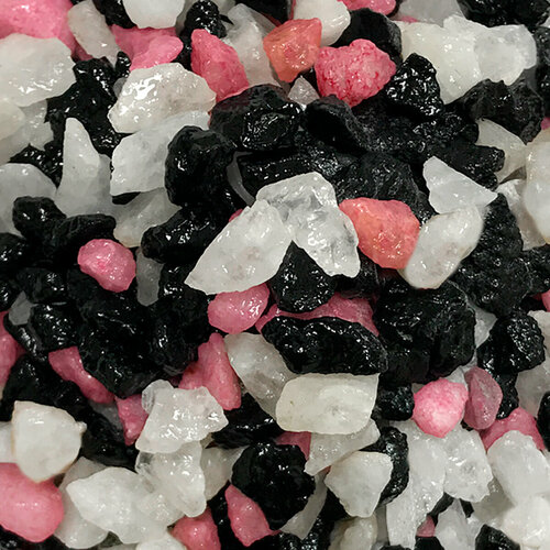 ���� ����������� ����� ��� ��������, ����������� � ��������, Zoo One, ��������� ��������, 