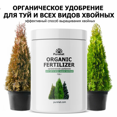 ���� ������������ ��������� ������ 700 � ��� ��� � ������� - �������� � ������� �������� ������ ������