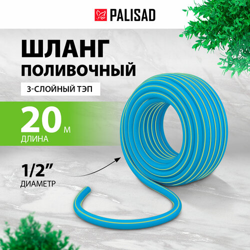     Palisad 3   1/2' 20 ,  67106   -     , -, 