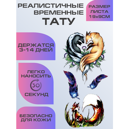 ���� ���� ���������� ��������������, ��������� ���� ������ ������