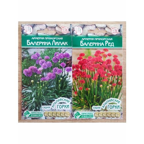 ���� ����������� ��� ���������� ����� ������� ����� � ��� ������ ������