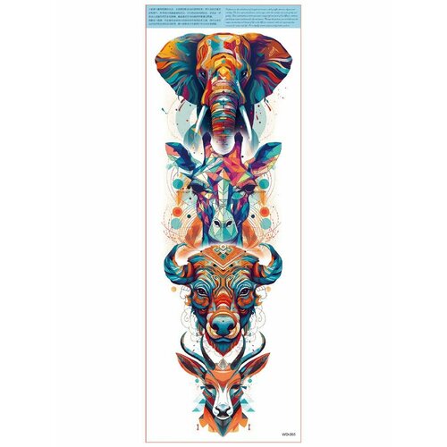 ���� ���������� ��������� ���� ����� �� �������� / 45 � 17 �� ���� ������ ������