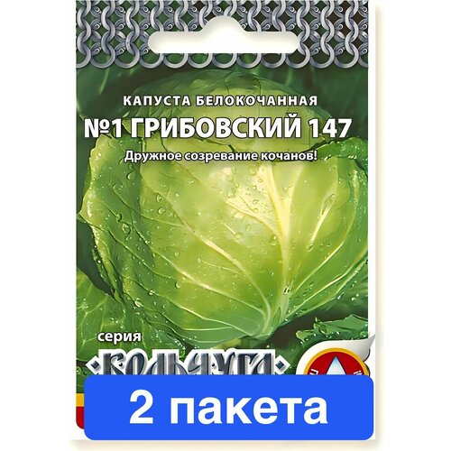 ���� ������ ������ ������� ������ 