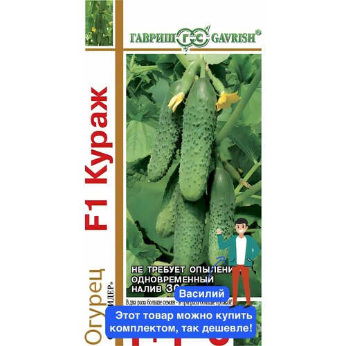 ���� ������ ������ 1+1=3 ������ ����� F1 20 ��. ������ ������