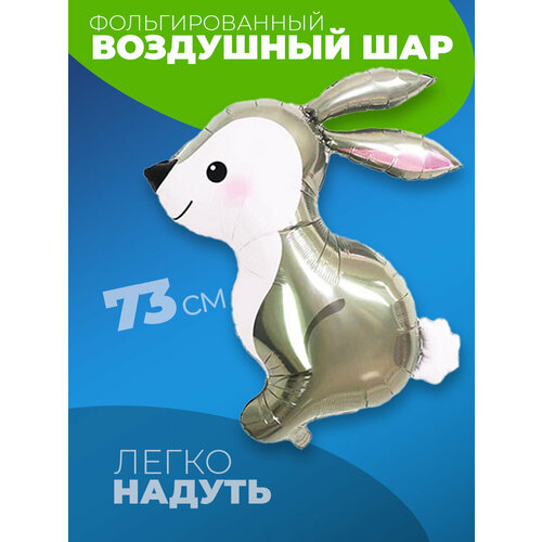 ���� ����� � ������ ������ ������