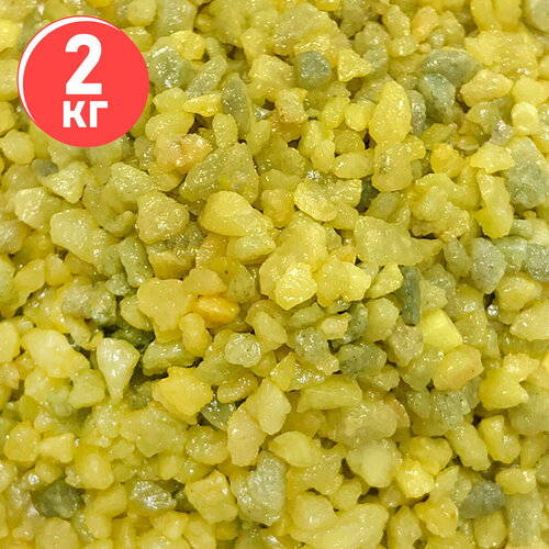 ���� ����������� ����� ��� ��������, ����������� � ��������, Zoo One, ��������� ��������, 