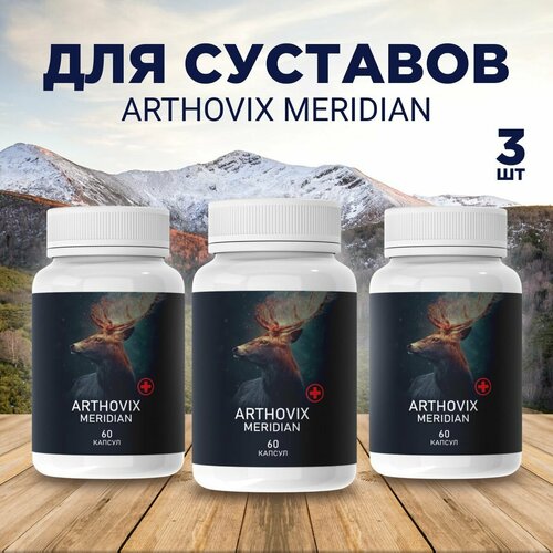      Arthovix Meridian   -     , -, 