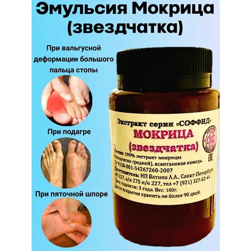 ���� �������� �������, ����� ������� (����������) �� ������� � ���������� ���������� ��������������, ��� �������� � ������ ��������������, ������ ������ ������