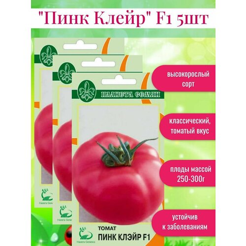 ���� ������ ������ ���� ����� F1 ������ ������