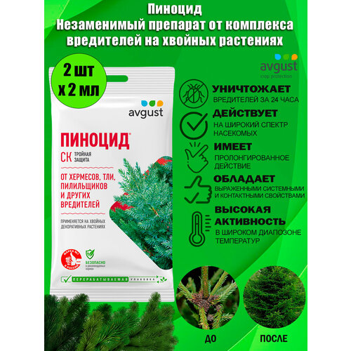 ���� ����������� �������� �� ��������� ���������� �� ������� ��������� ������� Avgust, 2 �� ������ ������