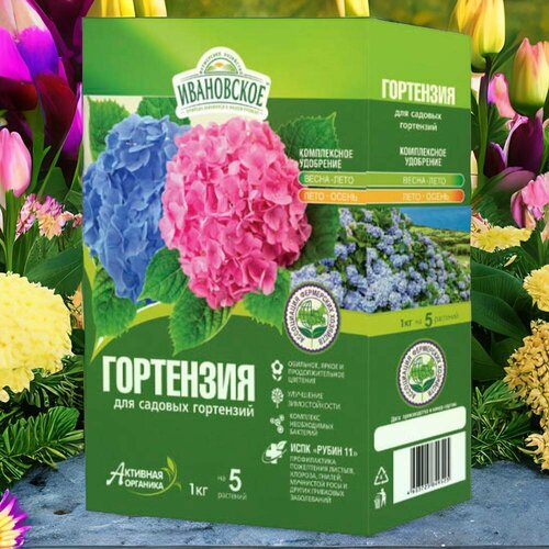 ���� ����������� ��������� ��� ������� ���������. ��������� 1��. �������� ����������� ��������������. ������������ �������, ������, ��������� ����. ������ ������