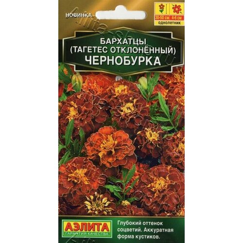 ���� �������� ���������� ����������� ������ ������