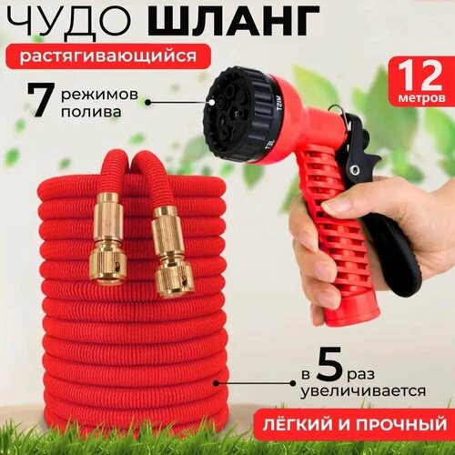���� ����� ������� ���������� ��������������� � 4 �� 12 ������, � ��������� � ������������ ������ ������