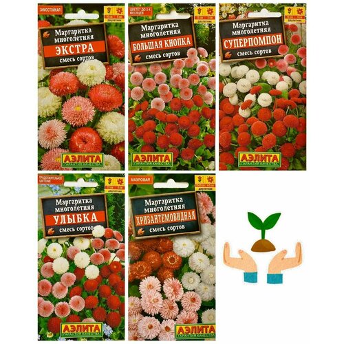 ���� ������ ����������� ������ ��� ���� ���������� ����� ������, ����� 5 ��. ������ ������