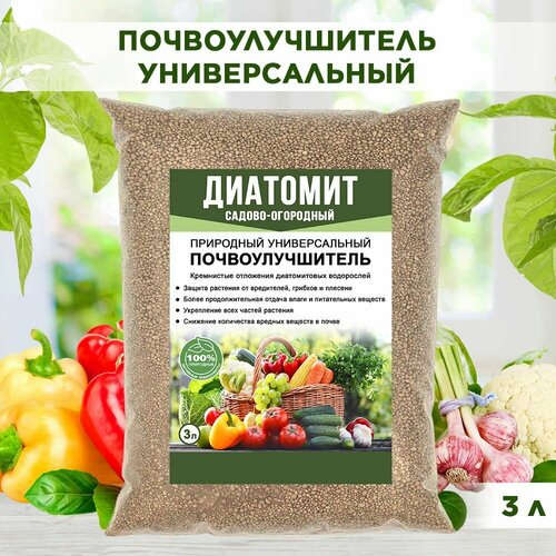 ���� �������� �������, ��������������� ��������� ���������, ��� ������ 3� ������ ������