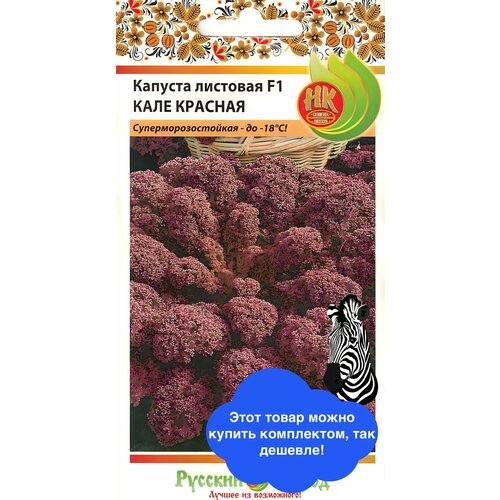 ���� ������ ������� 