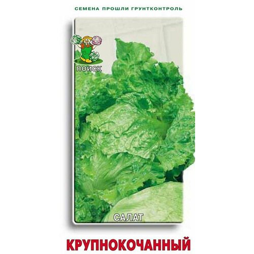 ���� ������ ����� �������������� �� ����� ������ ������