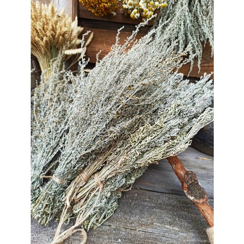 ���� ������ �������, �� ������������, ���� ���� 2024�. ������ ������